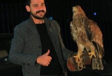 المهندس فادي الحناوي