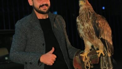 المهندس فادي الحناوي