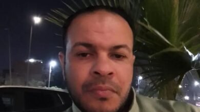 المهندس محمد السيد الطيار